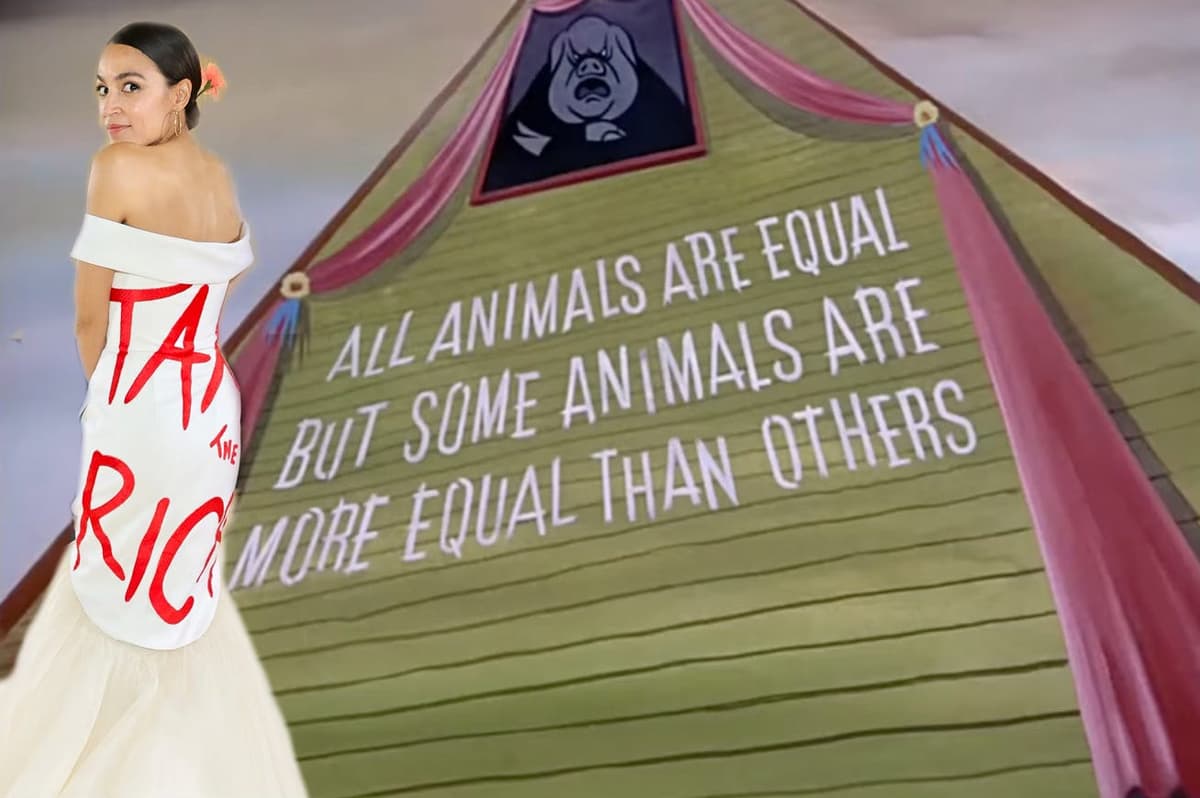 Meet the Socialist Socialites - Free Thinking Through the Fourth Turning with Sasha Stone cover