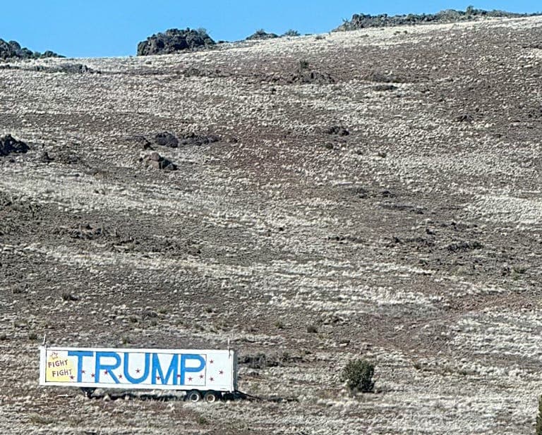 Why The Democrats Can't Keep America Safe - Free Thinking Through the Fourth Turning with Sasha Stone cover