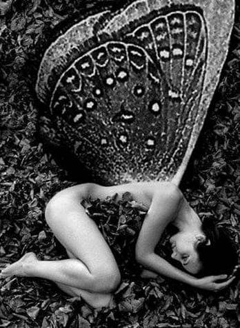 Dear Human Child - BECOME INSTEAD THE WILLOW - Love Letters Listen cover