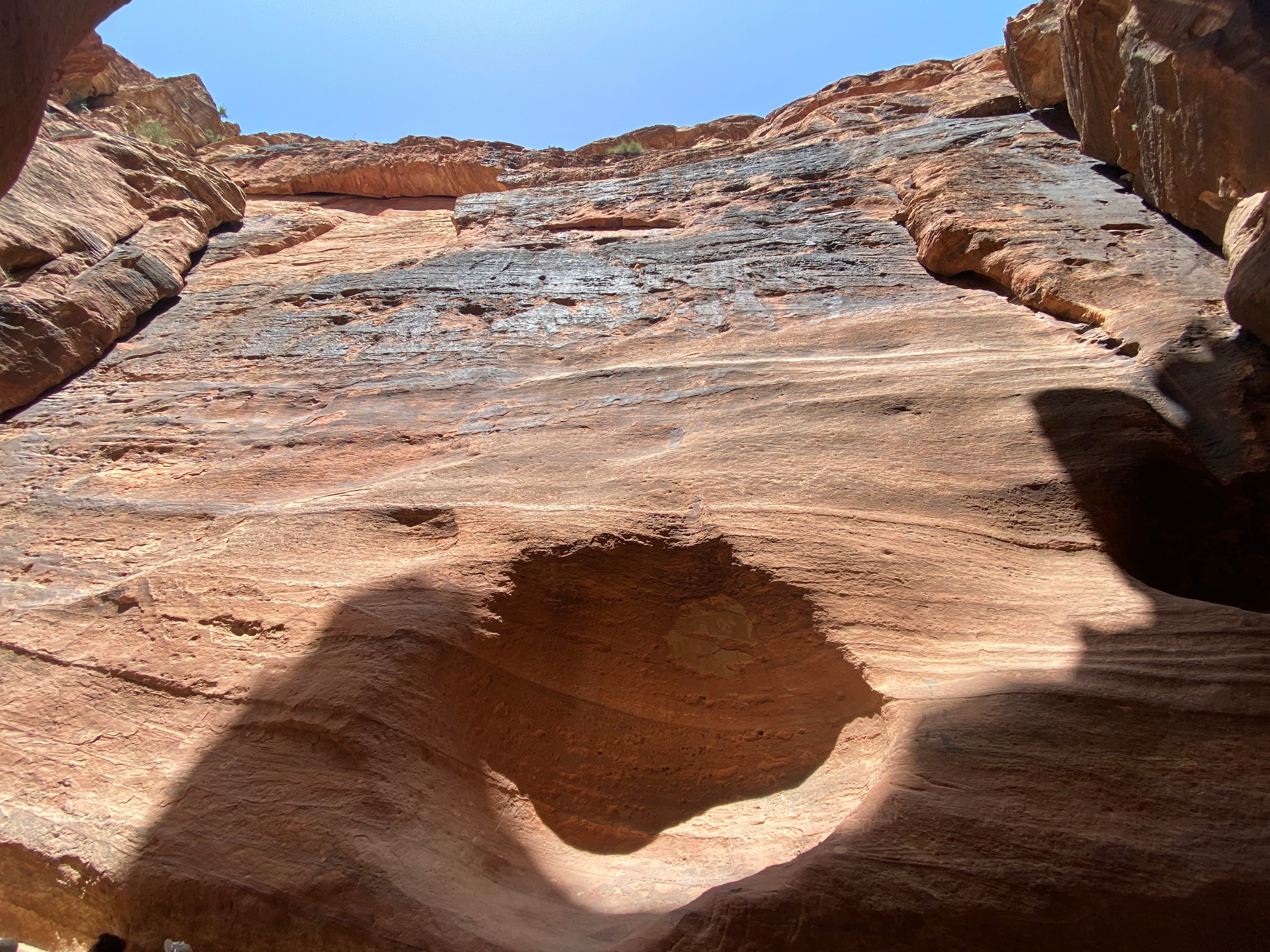 🌝 4.09. Learning to Trust the Gut - Five and Nine: Tarot, Work and Economic Justice cover