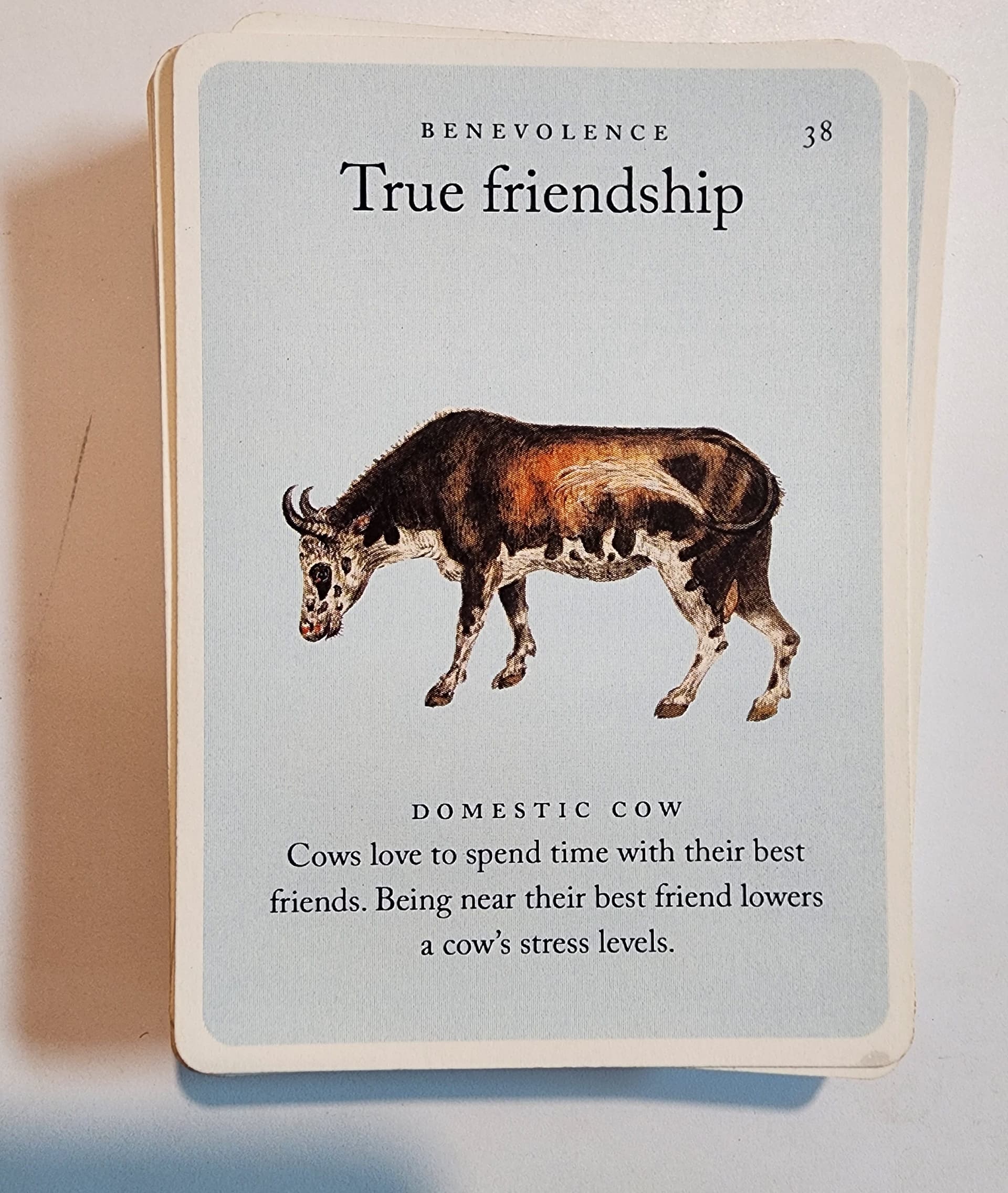 #38 True Friendship — The Values Sort cover