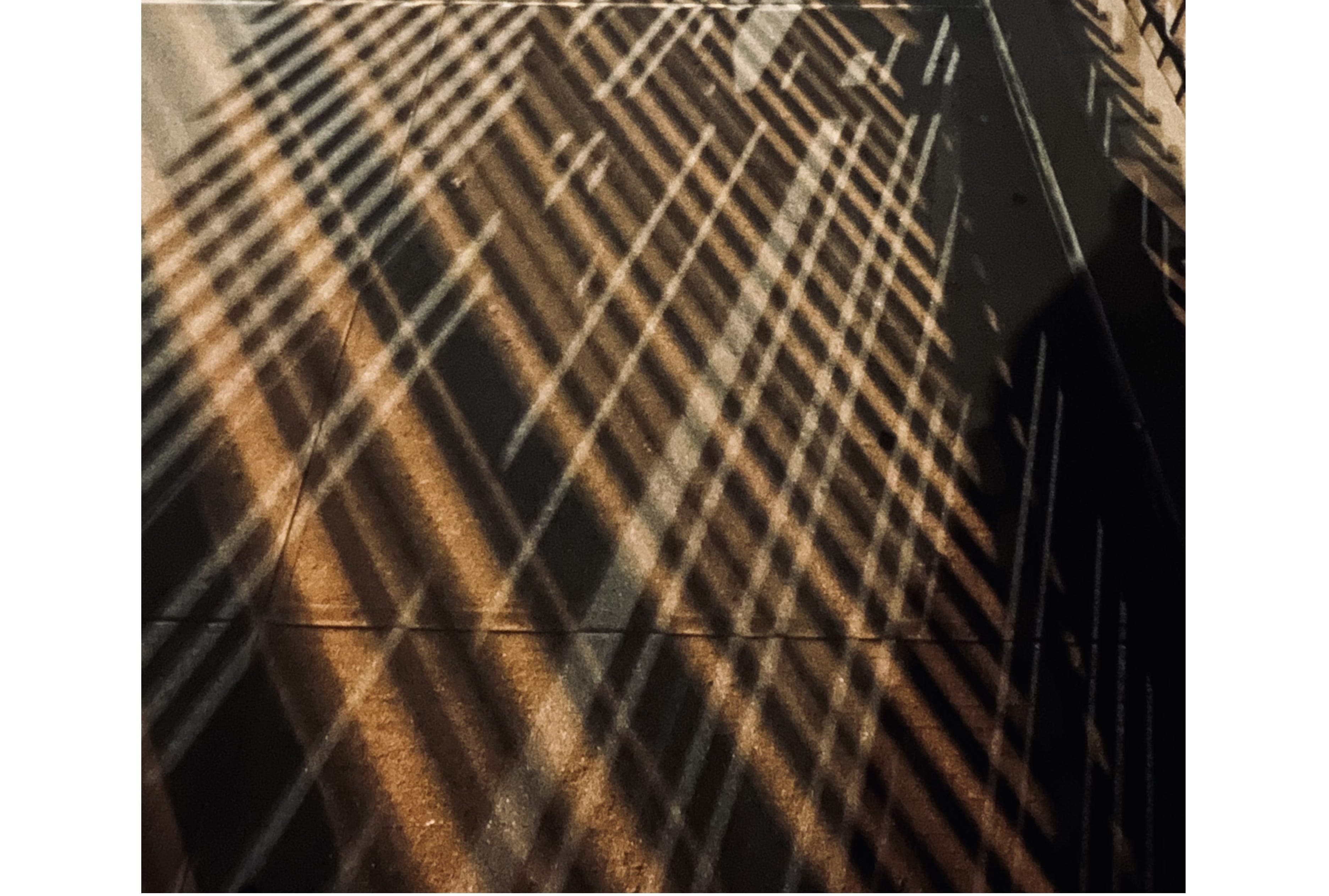 🎙Audio: Searching for True Words - Frederik Journals cover