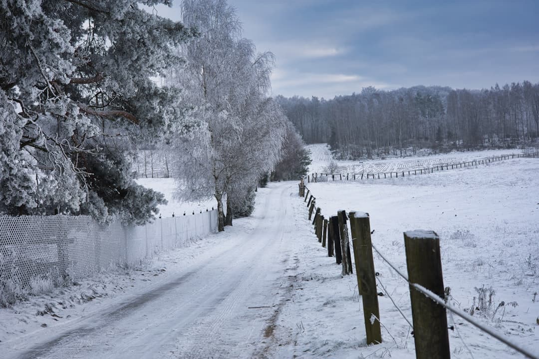 Early Winter - On Culture cover