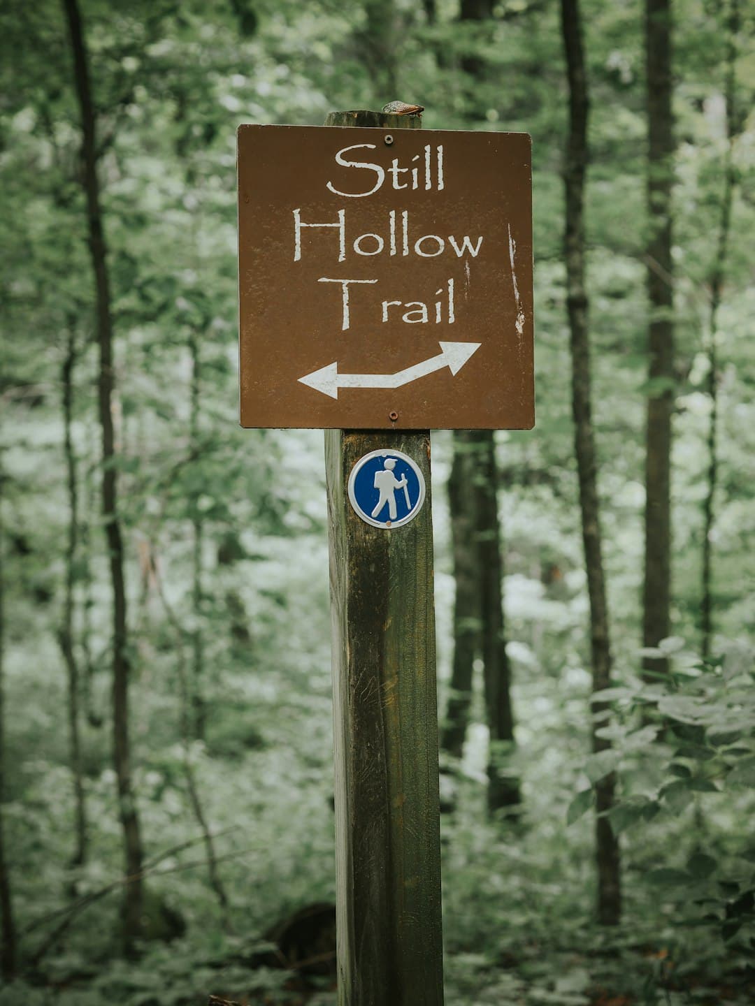 Following From Here - On Culture cover