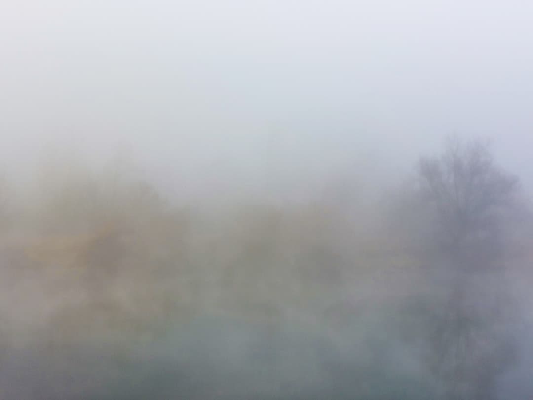 Fog of War - On Culture cover