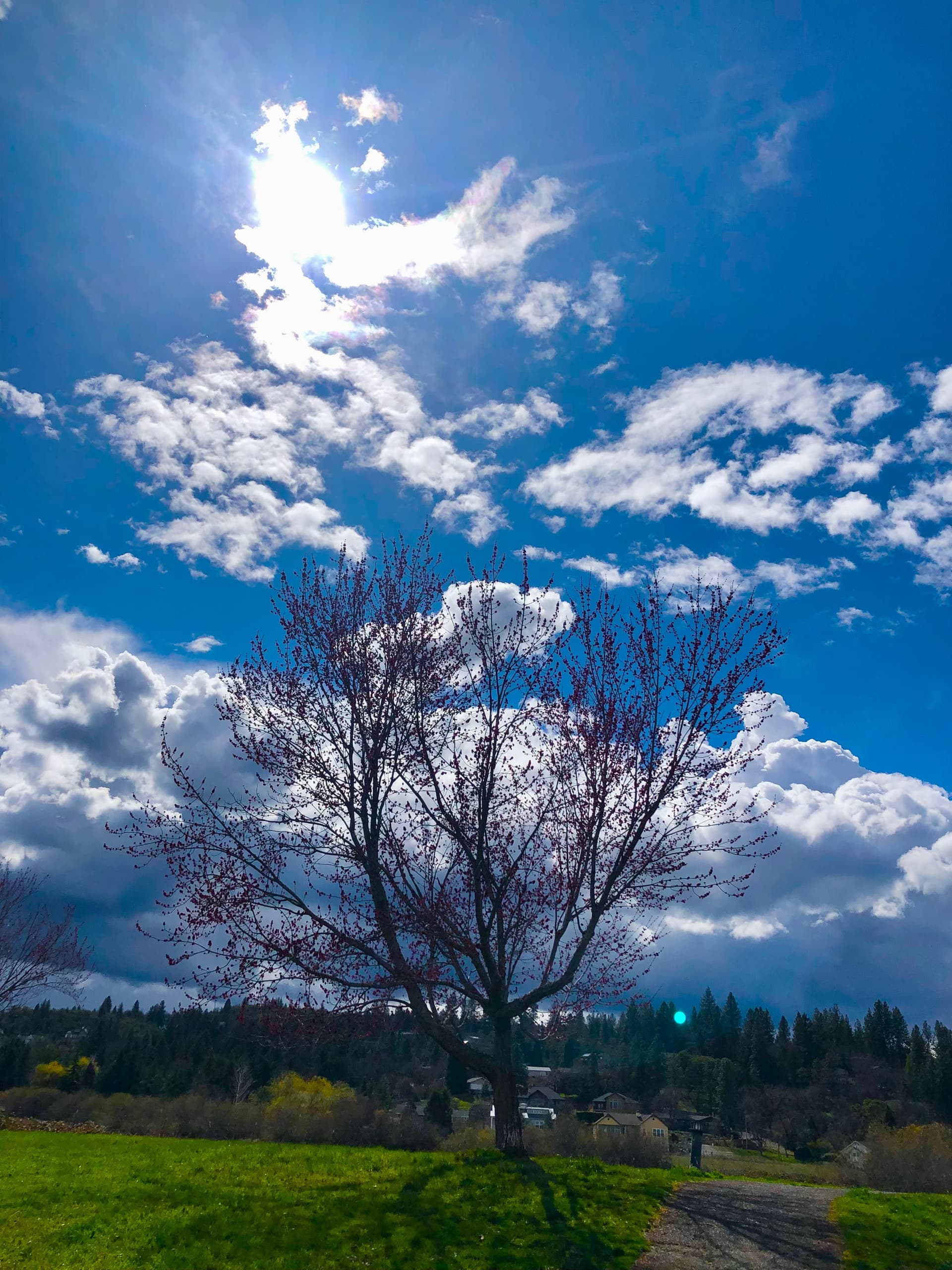 Evil is the Shadow of Good - Gnostic Reformation, Clear and Simple cover