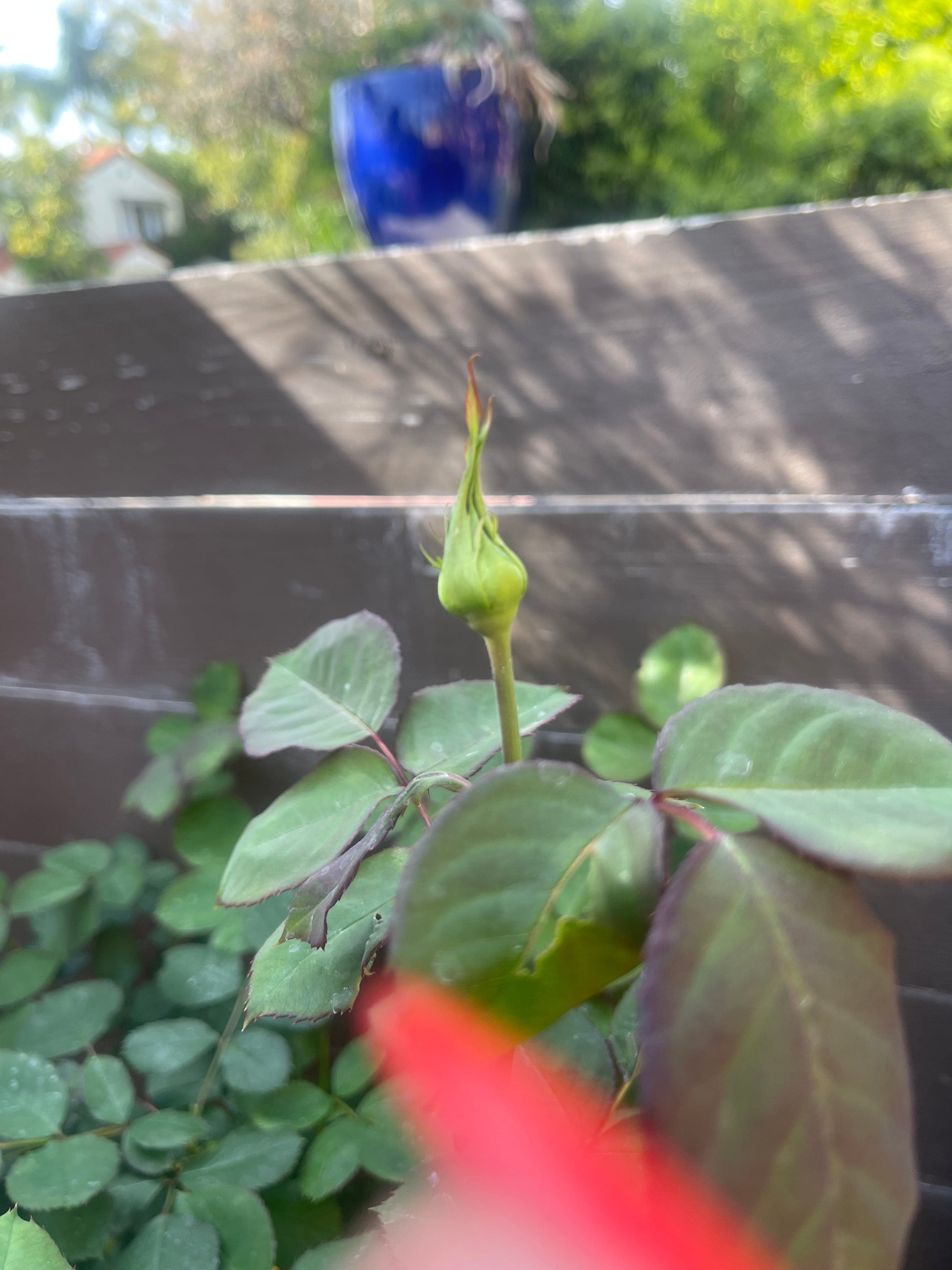 AuthentiCity - The Infinite Creator Podcast cover