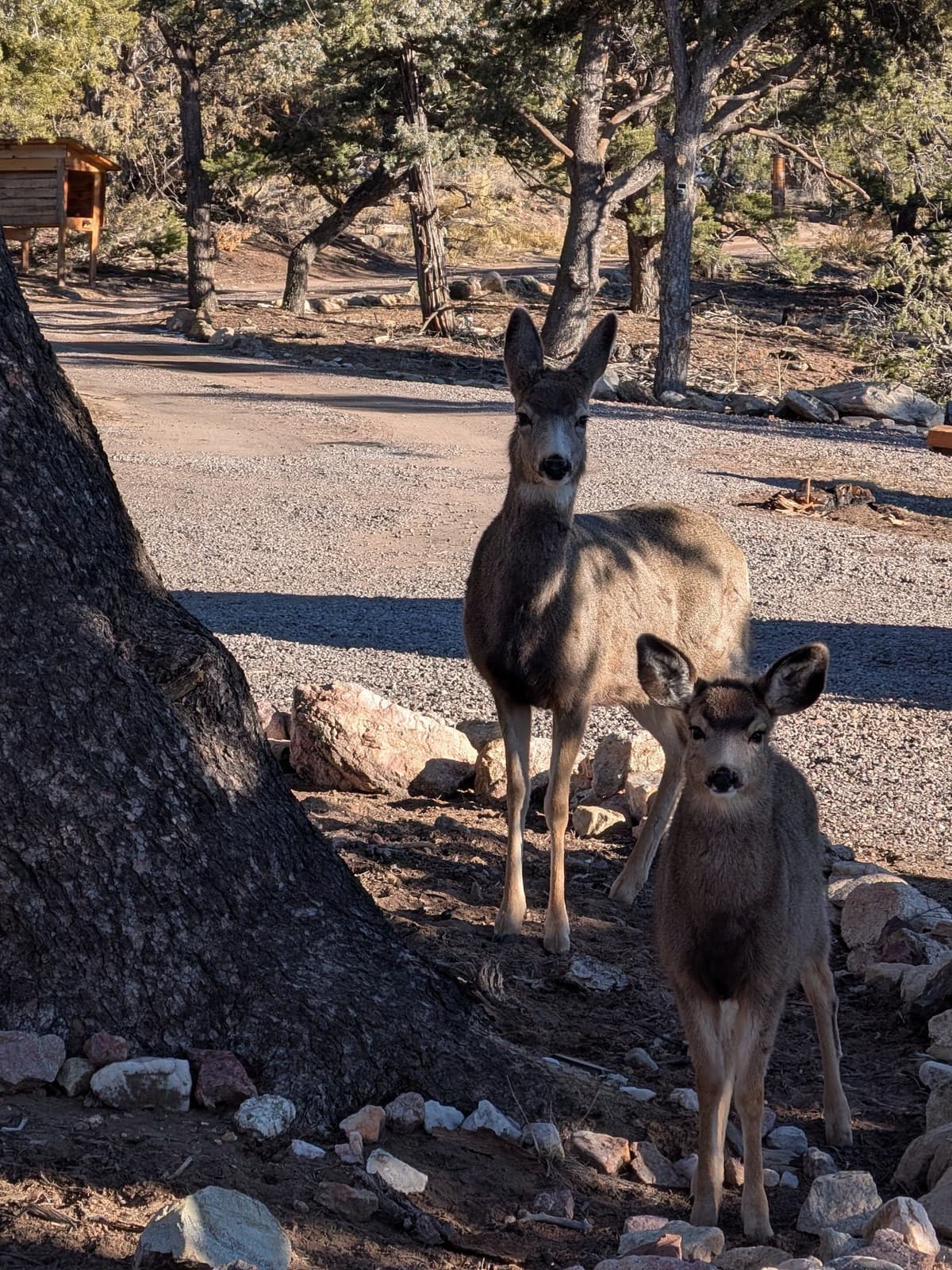 696 - ROMA 103 - Tangentially Speaking with Christopher Ryan cover