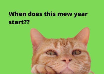 Recap 001: You probably think this post is about you :) - Other Peoples cover