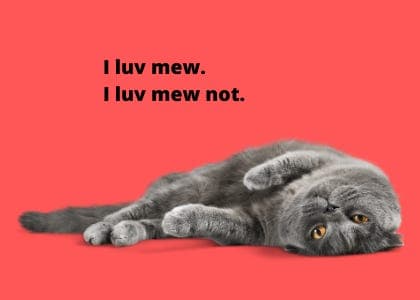 Recap 003: I luv mew. I luv mew not :) - Other Peoples cover