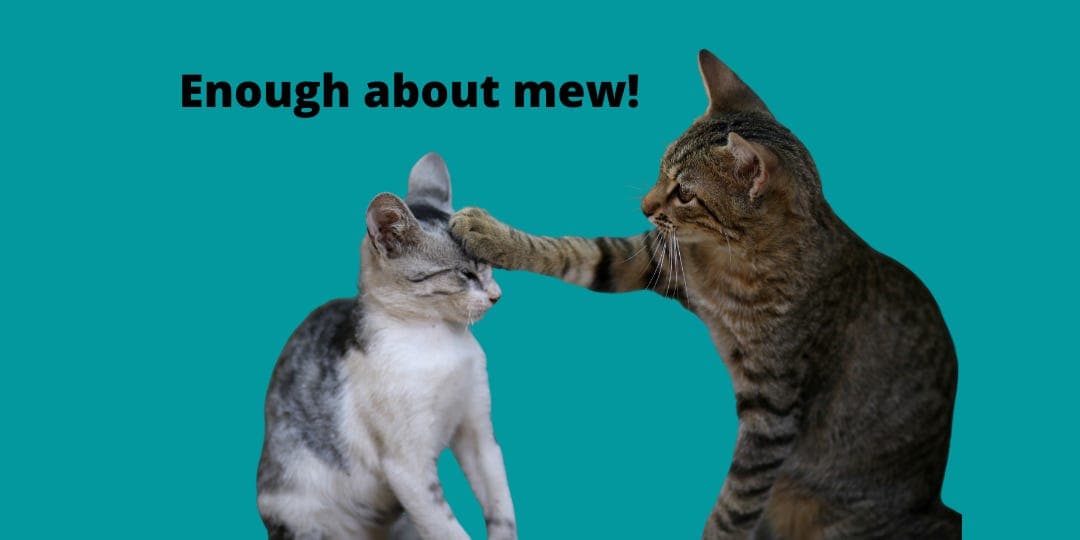 Recap 005: Enough about mew! - Other Peoples cover