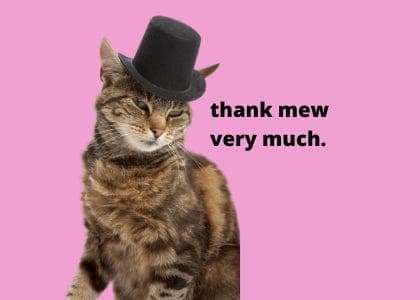 Recap 006: How kind of mew. - Other Peoples cover