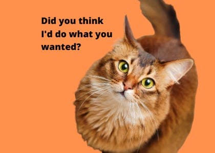 Recap 007: Willful disobedience. - Other Peoples cover