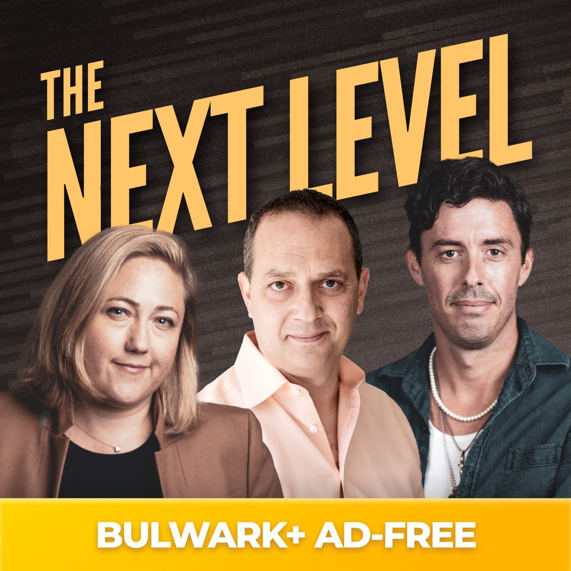 They’re Hiding the Epstein Files to Protect Trump - The Next Level cover