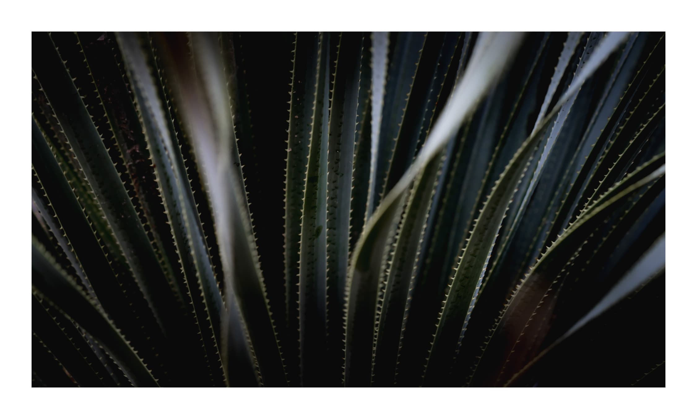 One Thing I Can Promise - Better Today Than Yesterday cover