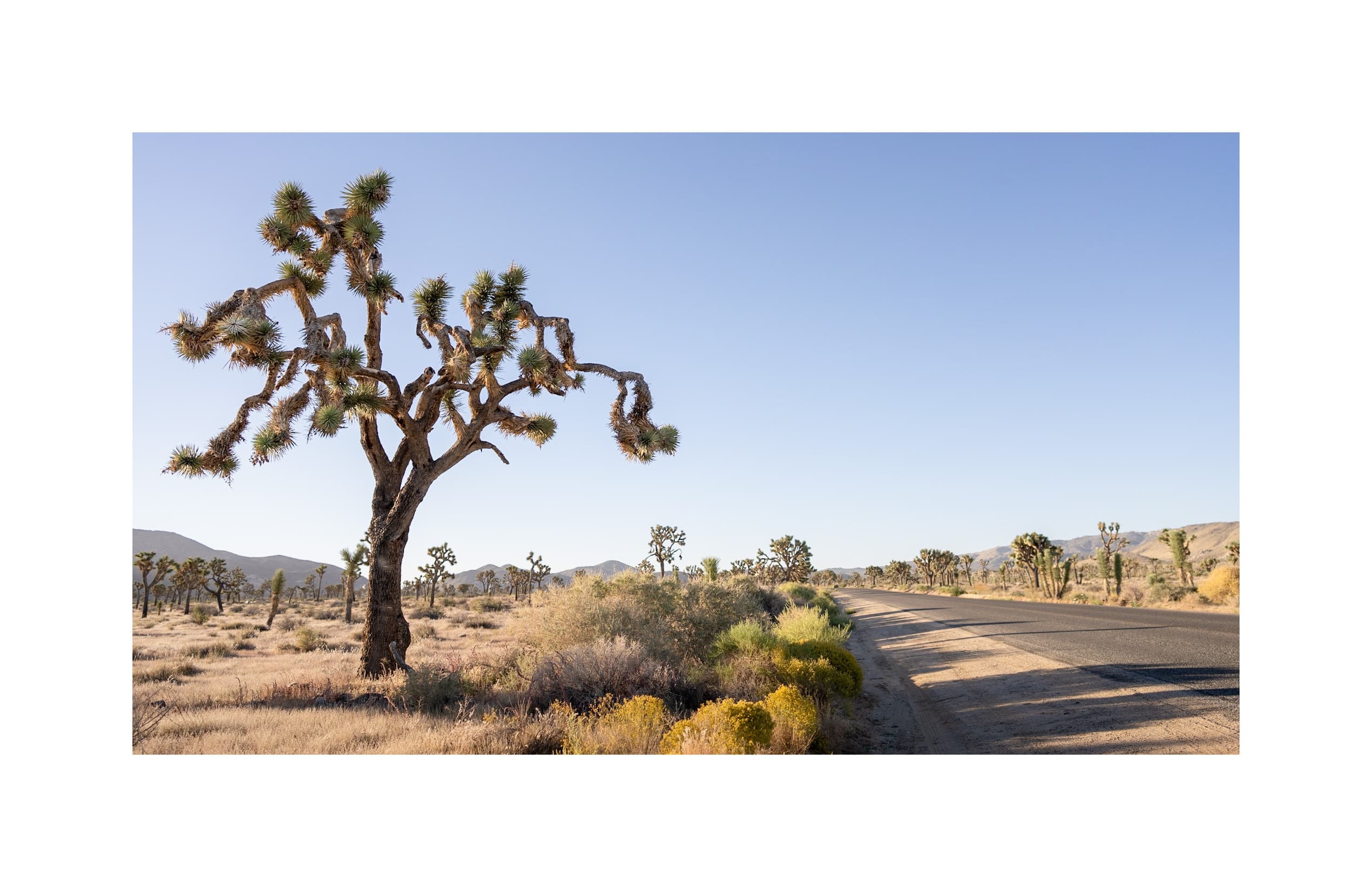 The Talent / Agency Matrix  - Better Today Than Yesterday cover