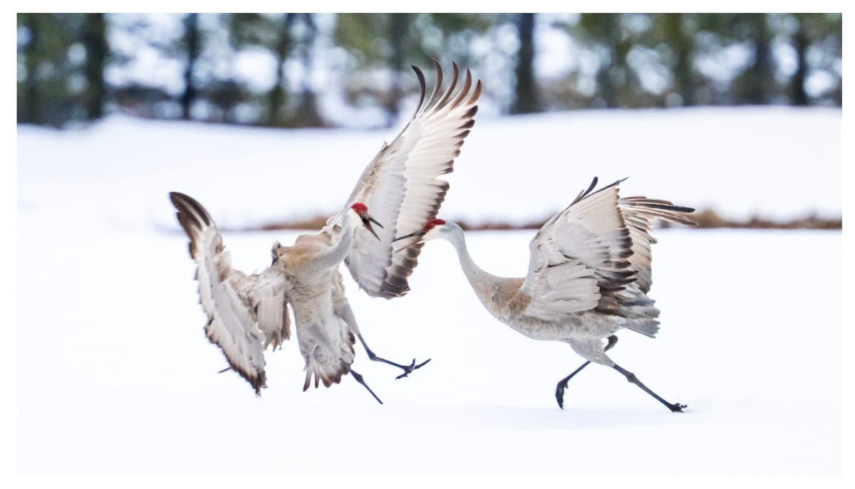 I Have An Idea - Better Today Than Yesterday cover