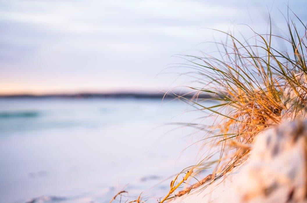 Tangled - Better Today Than Yesterday cover