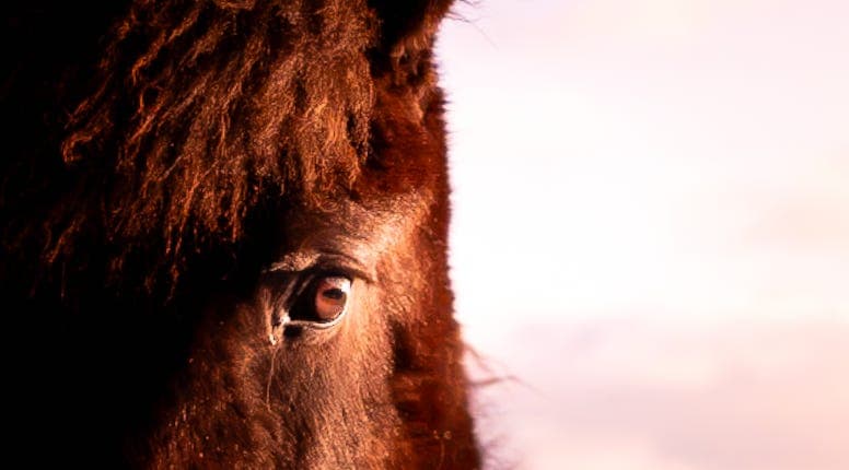 Lost Lesson - Better Today Than Yesterday cover