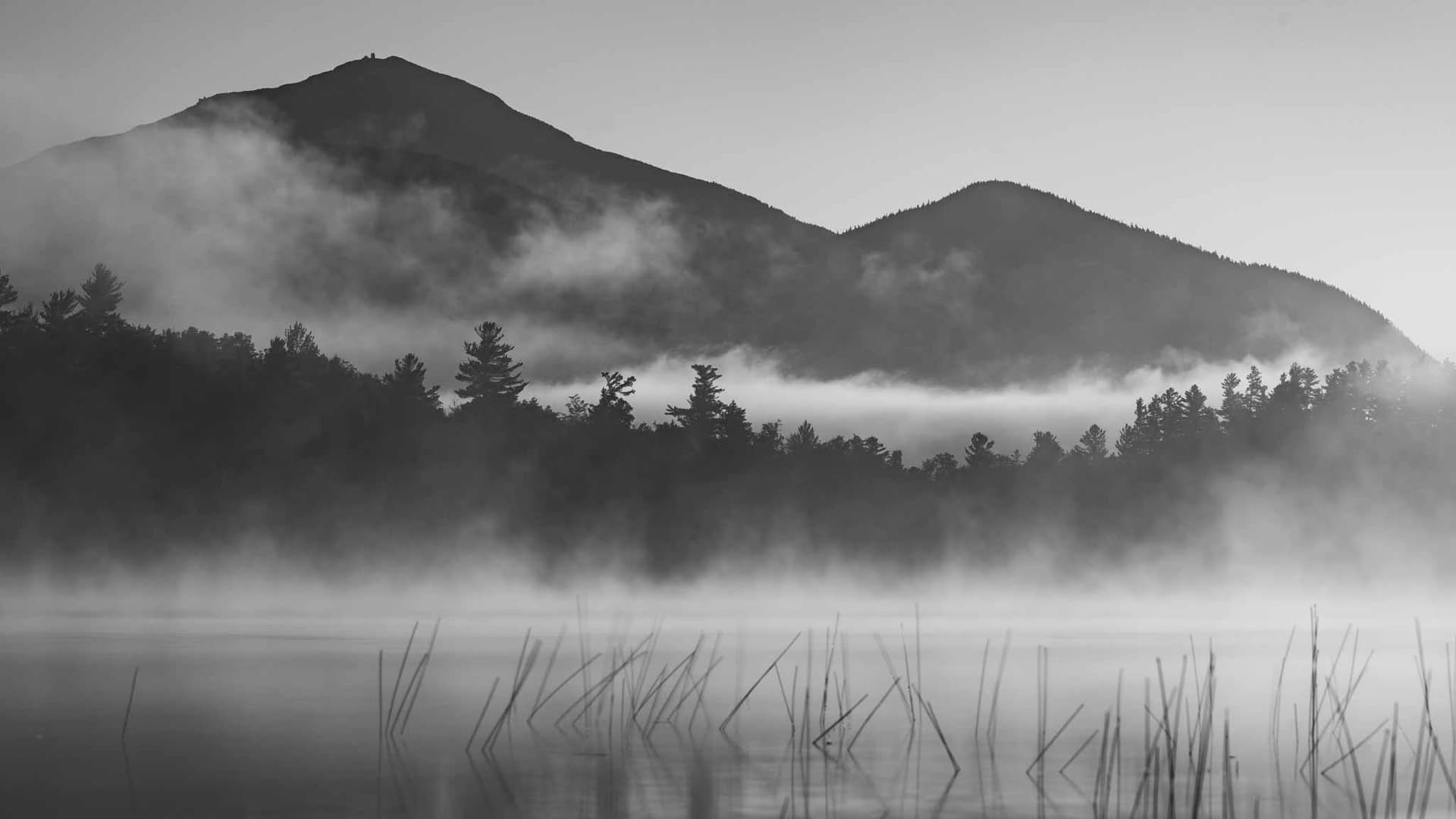 Wake Zones - Better Today Than Yesterday cover