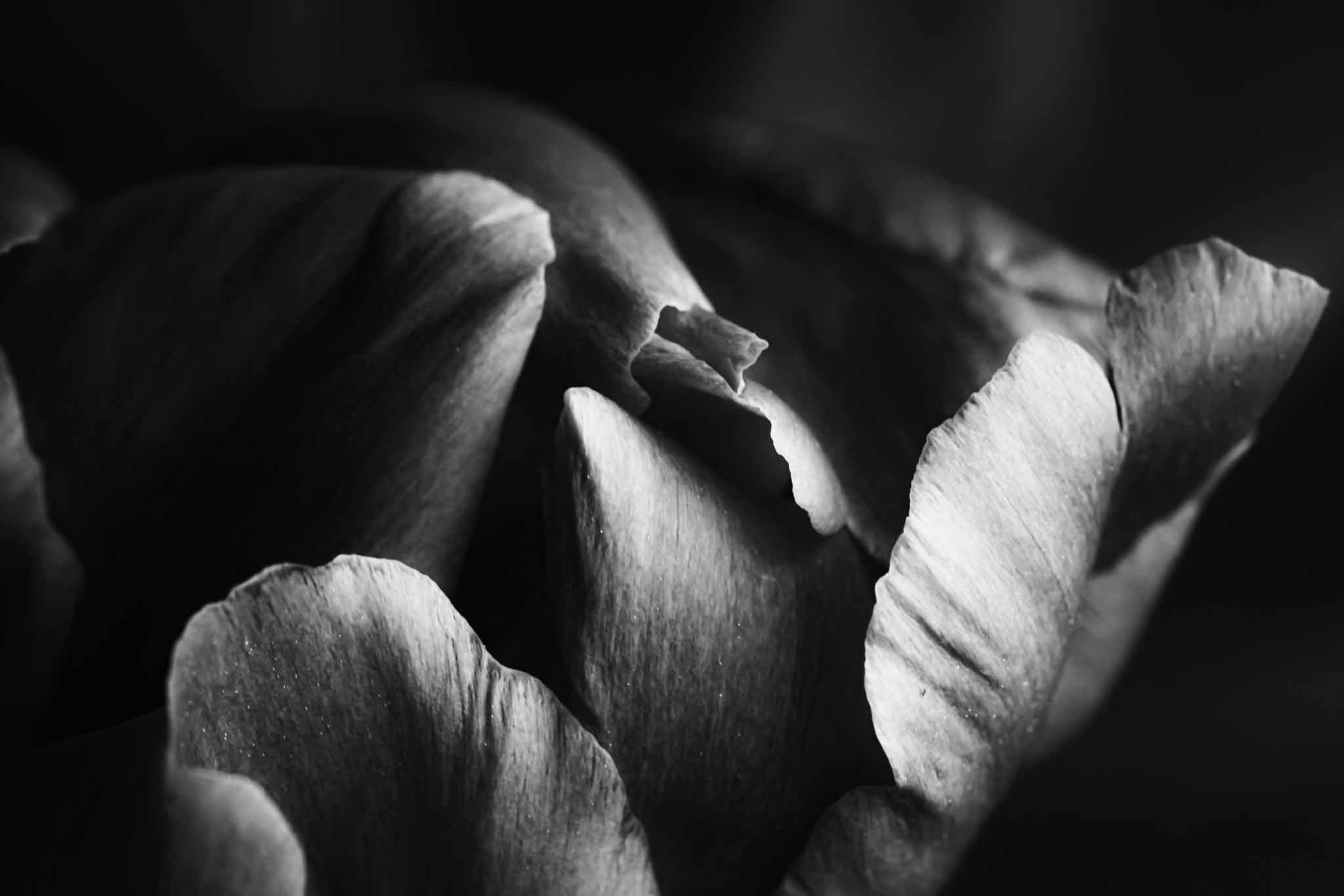 Smile Lines - Better Today Than Yesterday cover