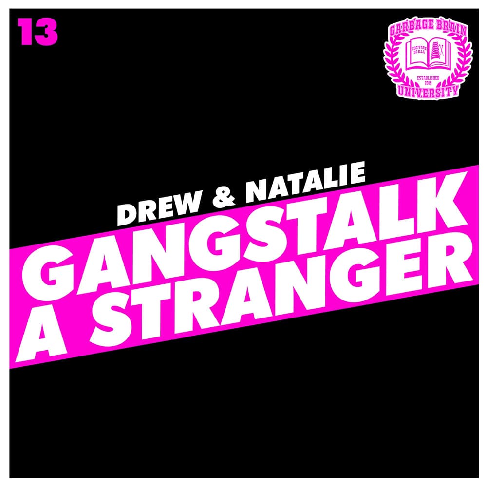 Drew & Natalie Have A Normal Conversation, Episode 13: We Gangstalked A Stranger - The Great Mistake, by Garbage Brain University cover