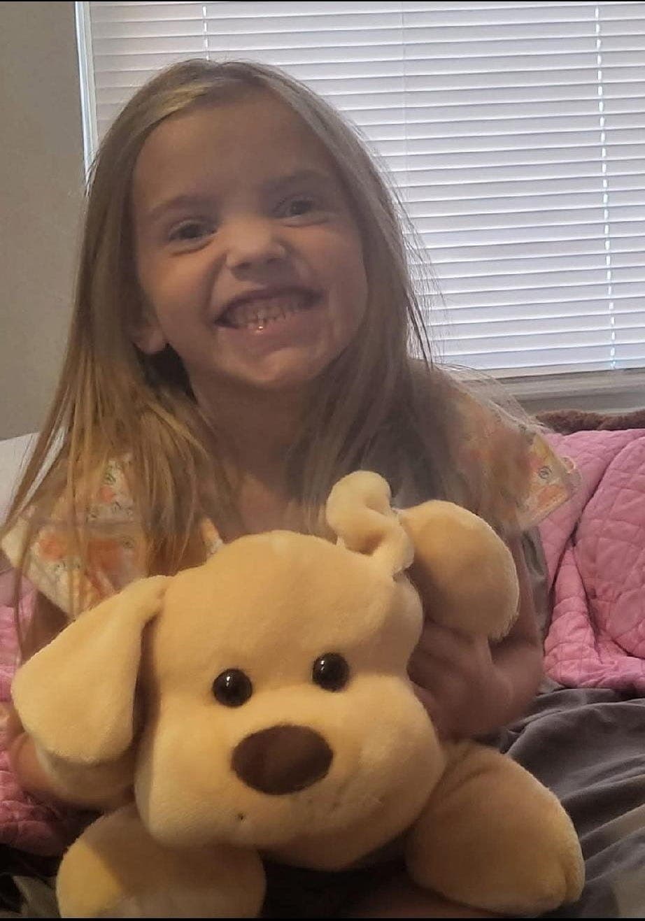 Fabricated Felonies – The Weaponization of Justice Against a Family Advocate - Connie Reguli - Broken Truth cover