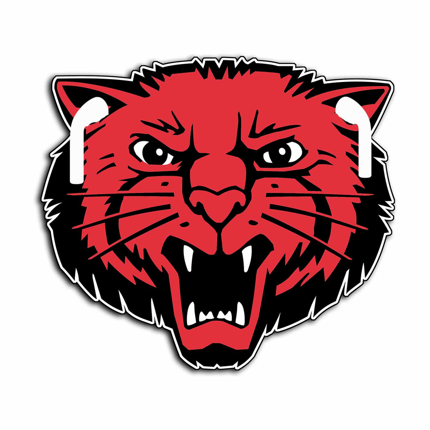 Bearcat Wrap-up Podcast cover