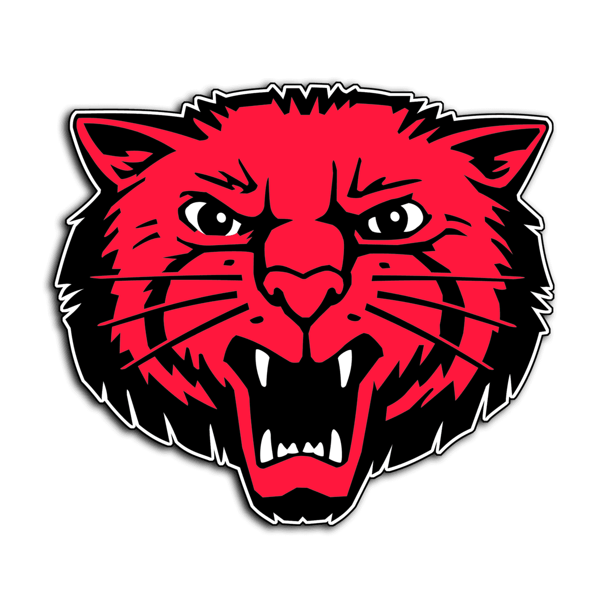 Week 18: Closing the Semester with Clarity and Confidence - Bearcat Wrap-up Podcast cover