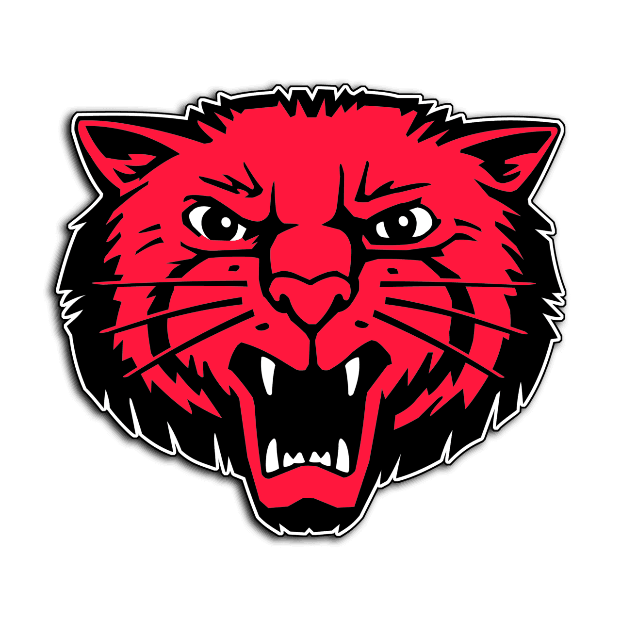 Week 28: Close to the Mark - Bearcat Wrap-up Podcast cover