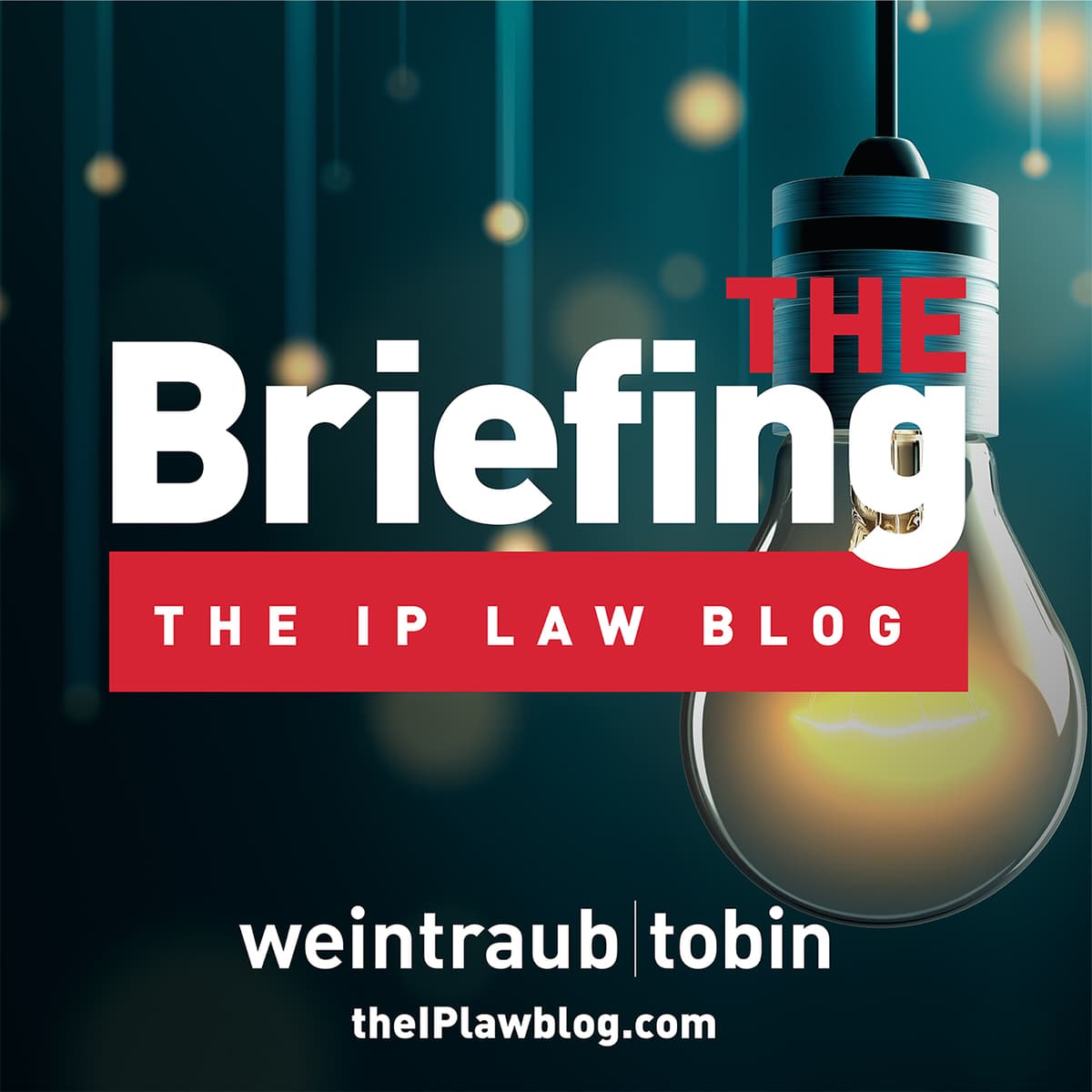 Navigating the Legal Risks for Brands in Social Media Marketing – Part 1 (Archive) - The Briefing by the IP Law Blog cover