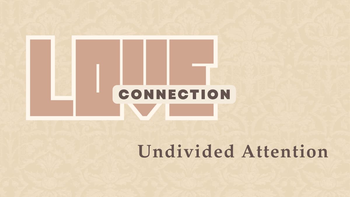 Love Connection: Undivided Attention - Christ's Legacy cover