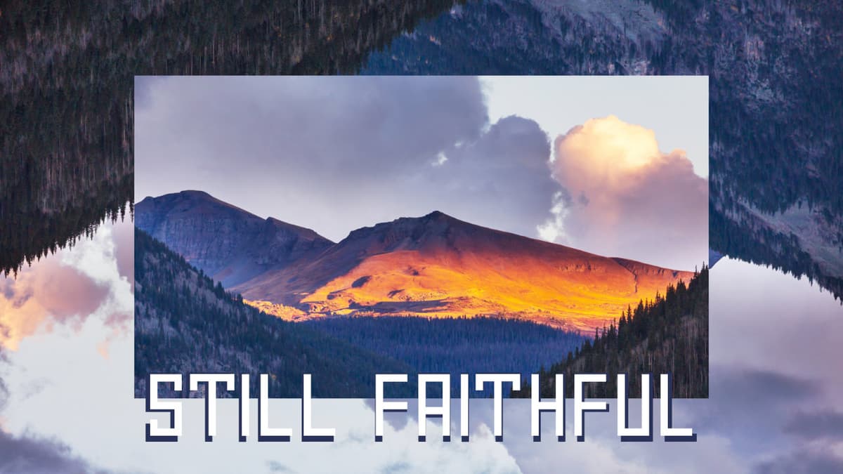 Still Faithful - Christ's Legacy cover