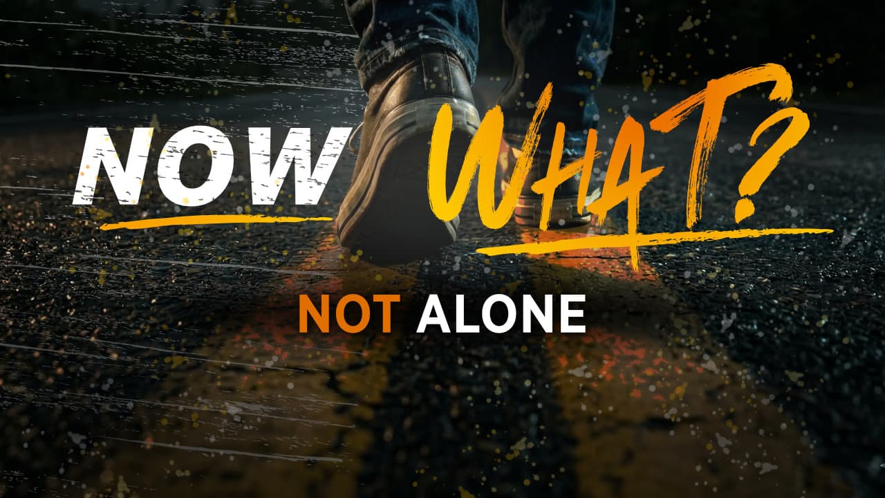 NOW WHAT? Not Alone - Christ's Legacy cover