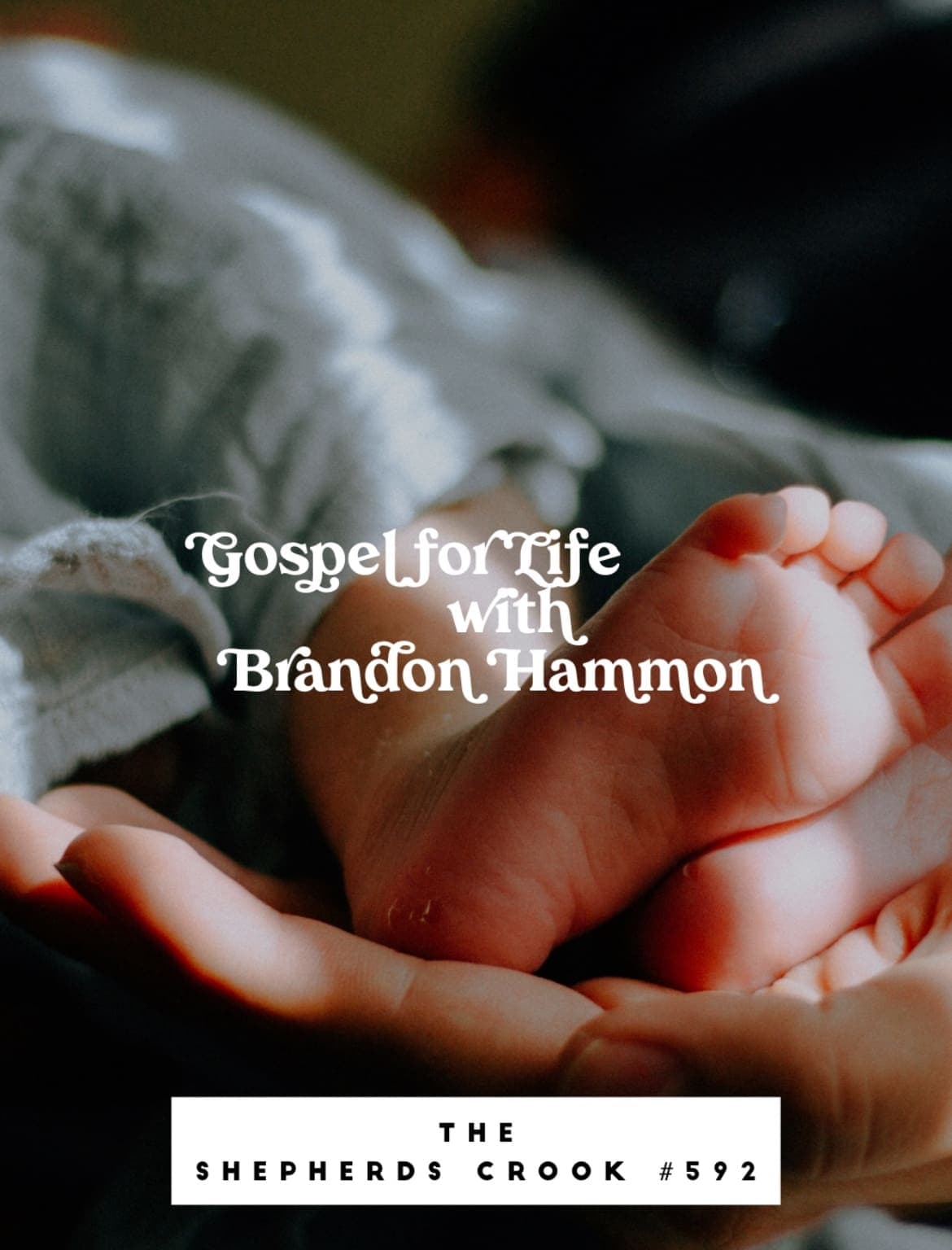 #592 Gospel for Life with Brandon Hamman - The Shepherd's Crook cover