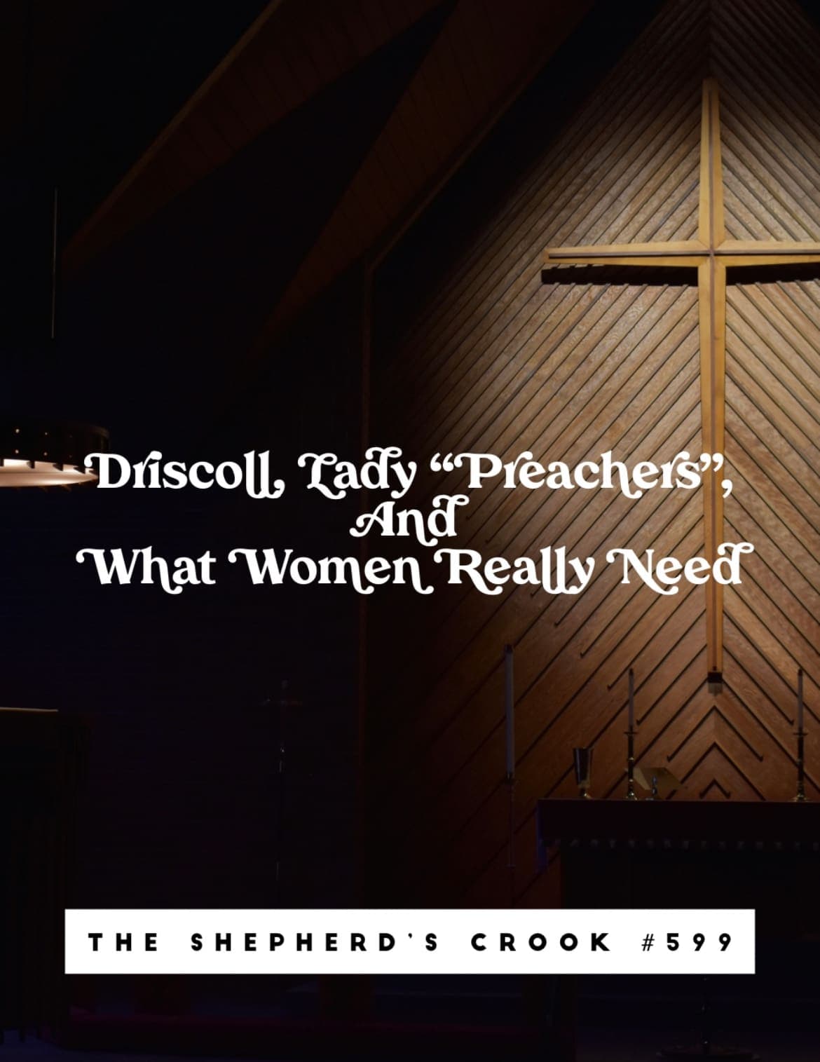 #599 Driscoll, Lady “preachers”, and What Women Really Need - The Shepherd's Crook cover