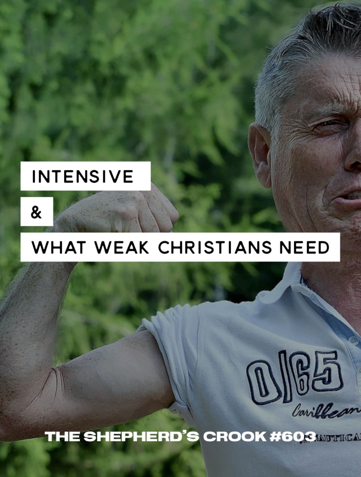 #603 26 Intensive & What Weak Churches Need - The Shepherd's Crook cover
