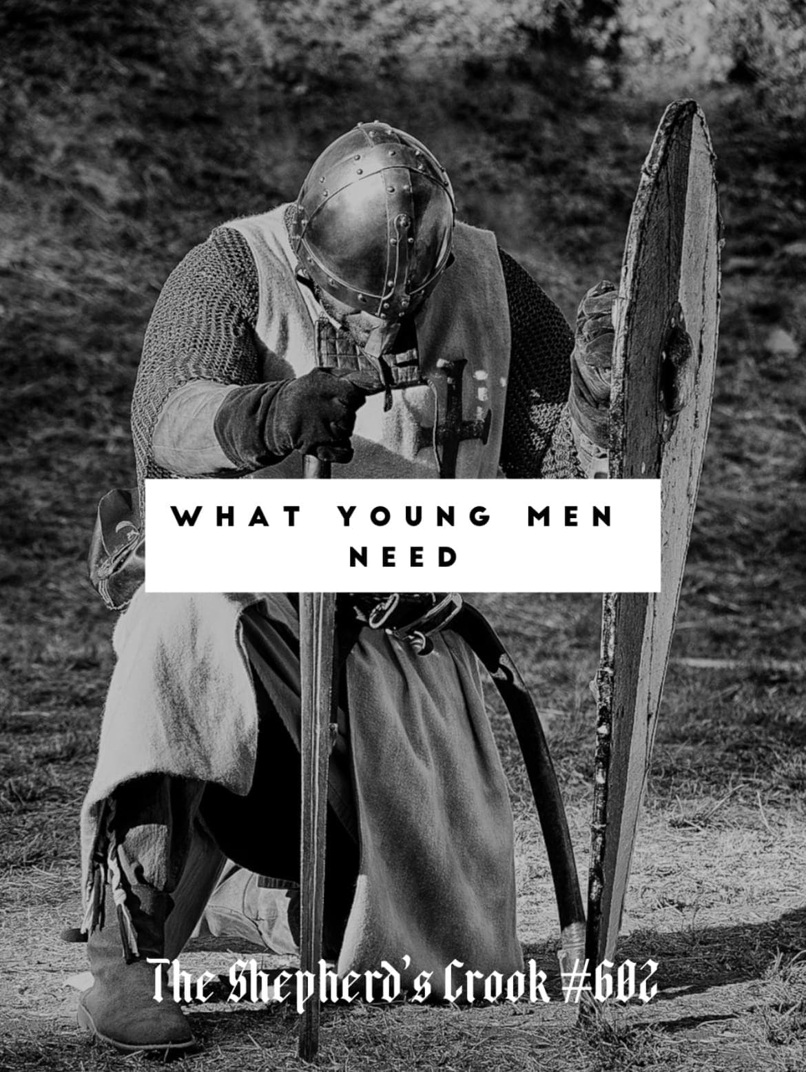 #602 What Young Men Need To Hear - The Shepherd's Crook cover