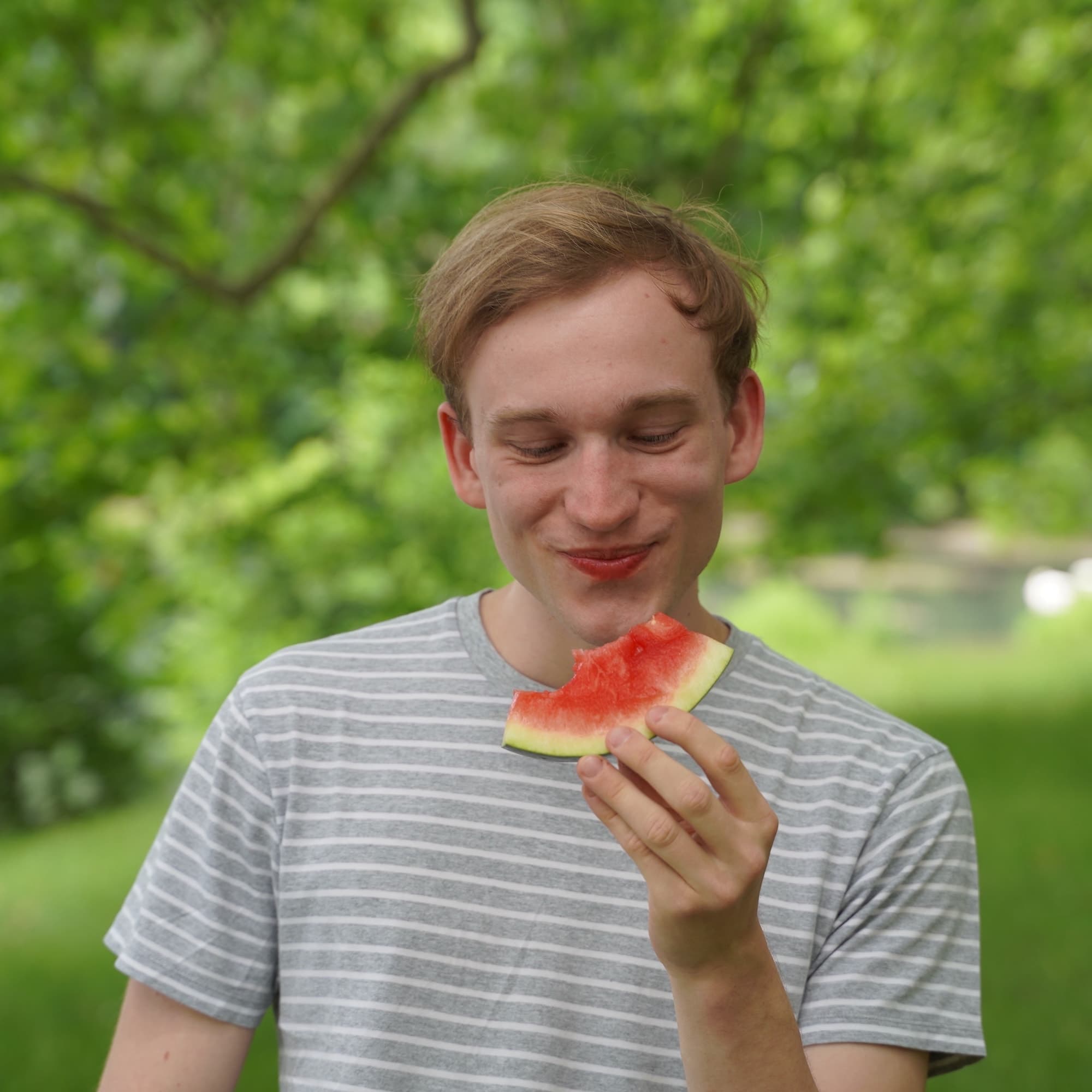 Thomas Rosen - Blog cover