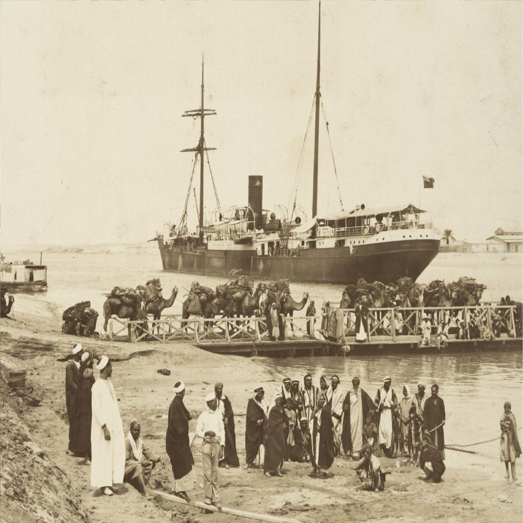 La dernière caravane - Philippe Pétriat - OpCit ! cover