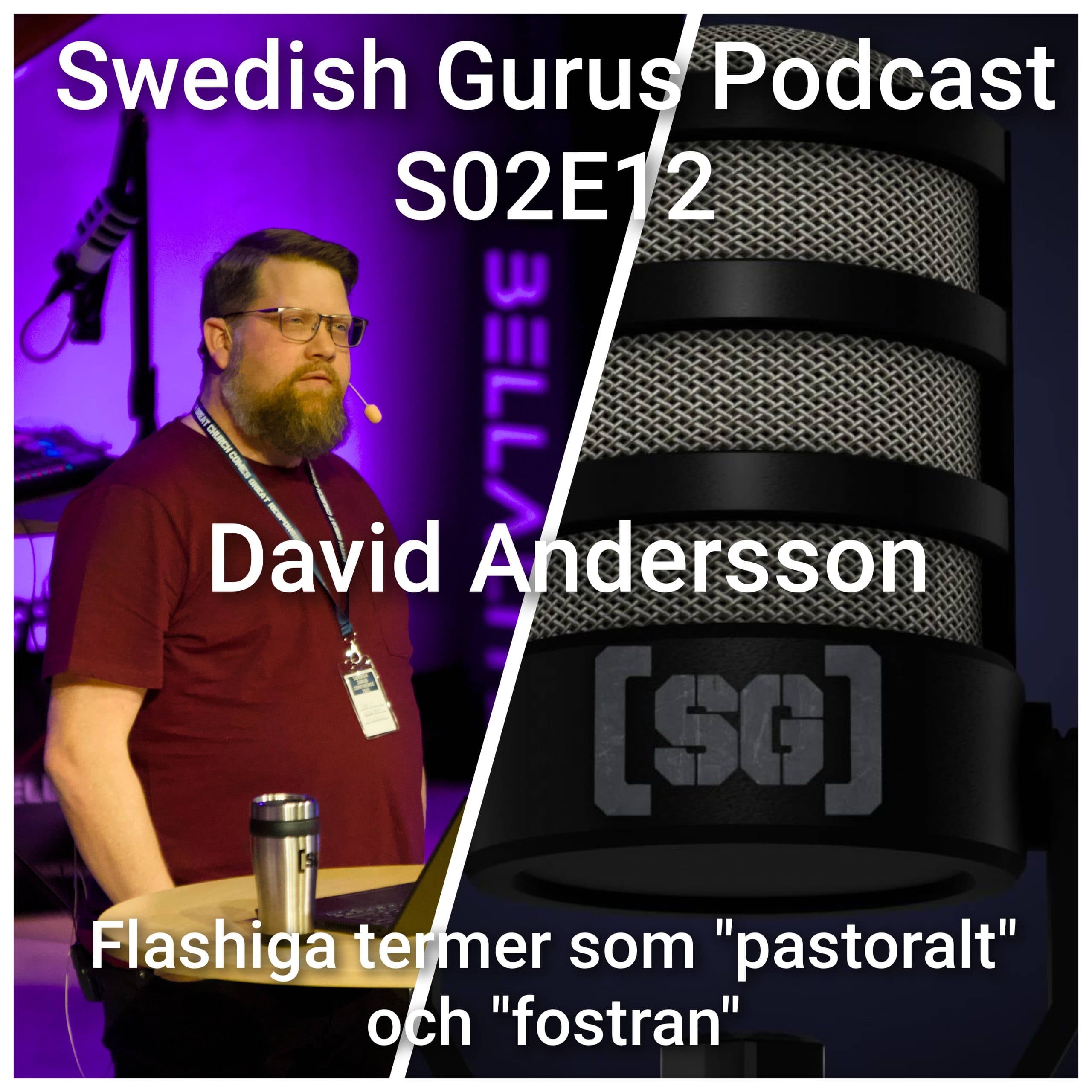 Swedish Gurus Podcast – S02E12 ”David Andersson” - Swedish Gurus Podcast cover