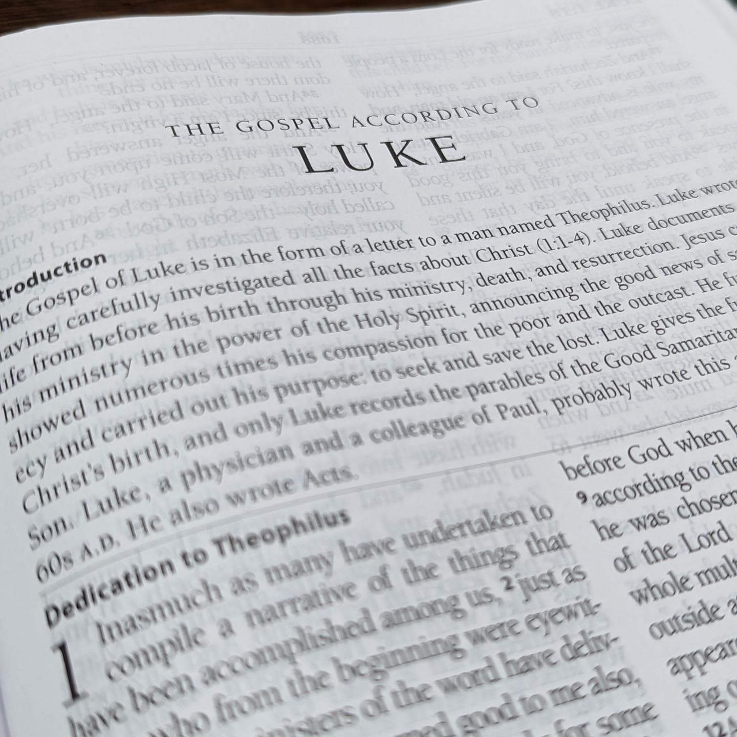 Biblically Dealing with Sin - Luke (Anderson) cover