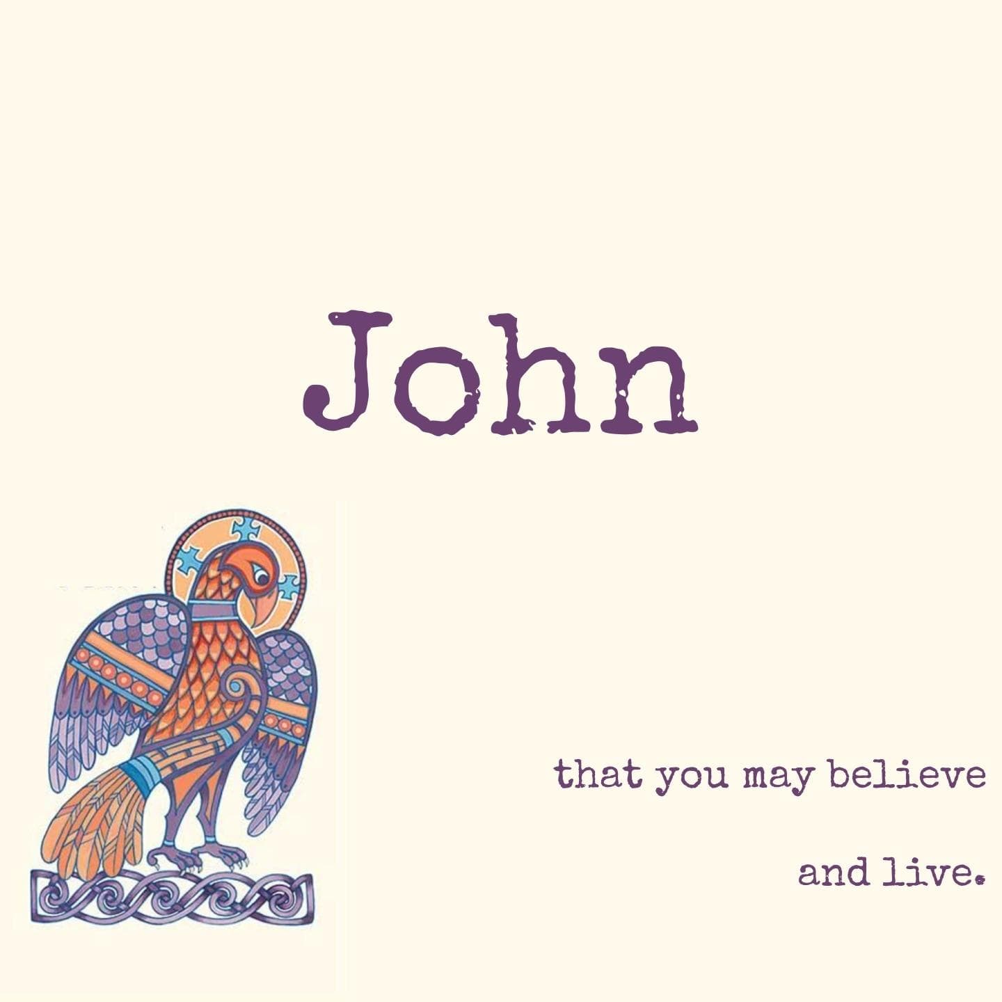 Gospel of John cover