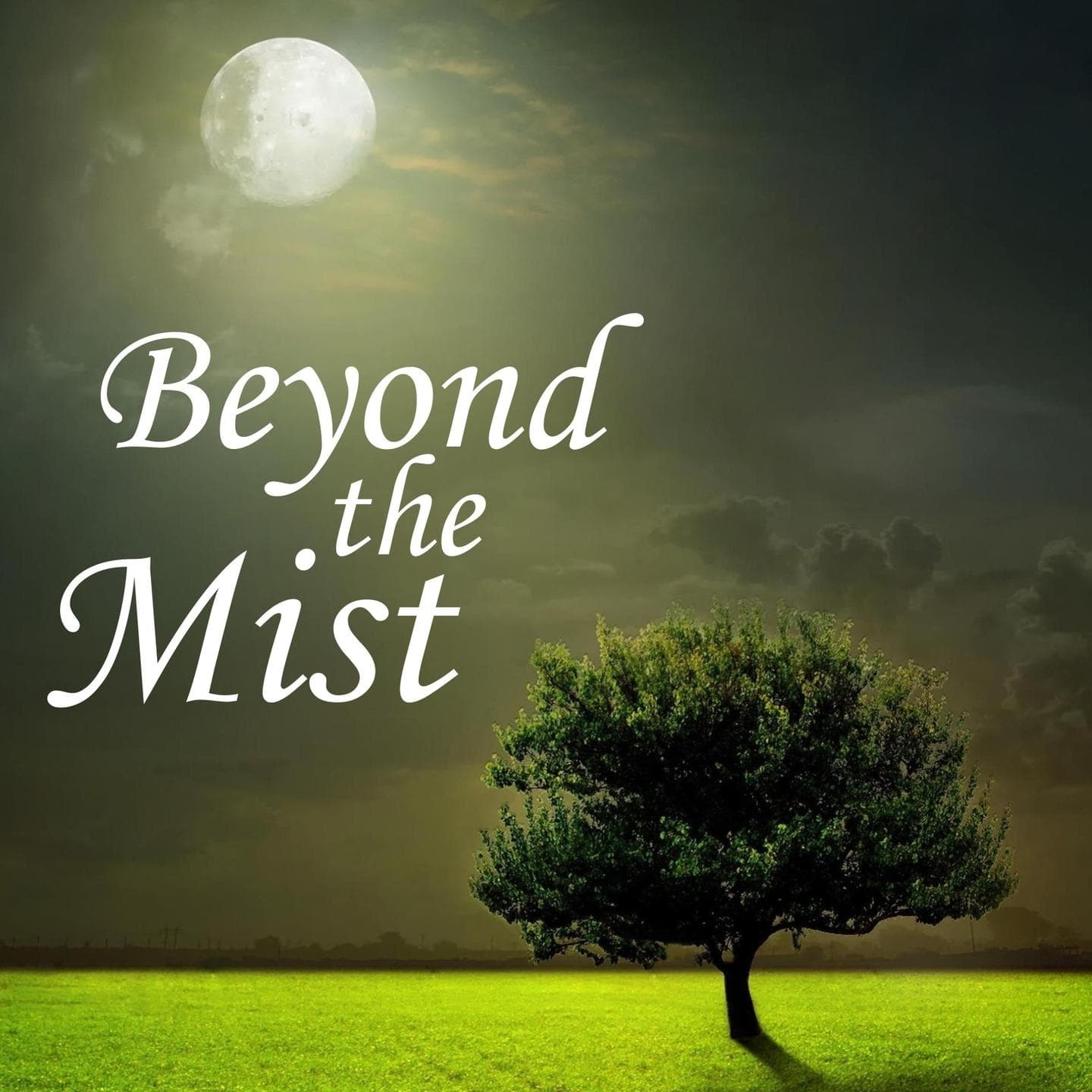 Holy Spirit in 1 John - Beyond the Mist cover