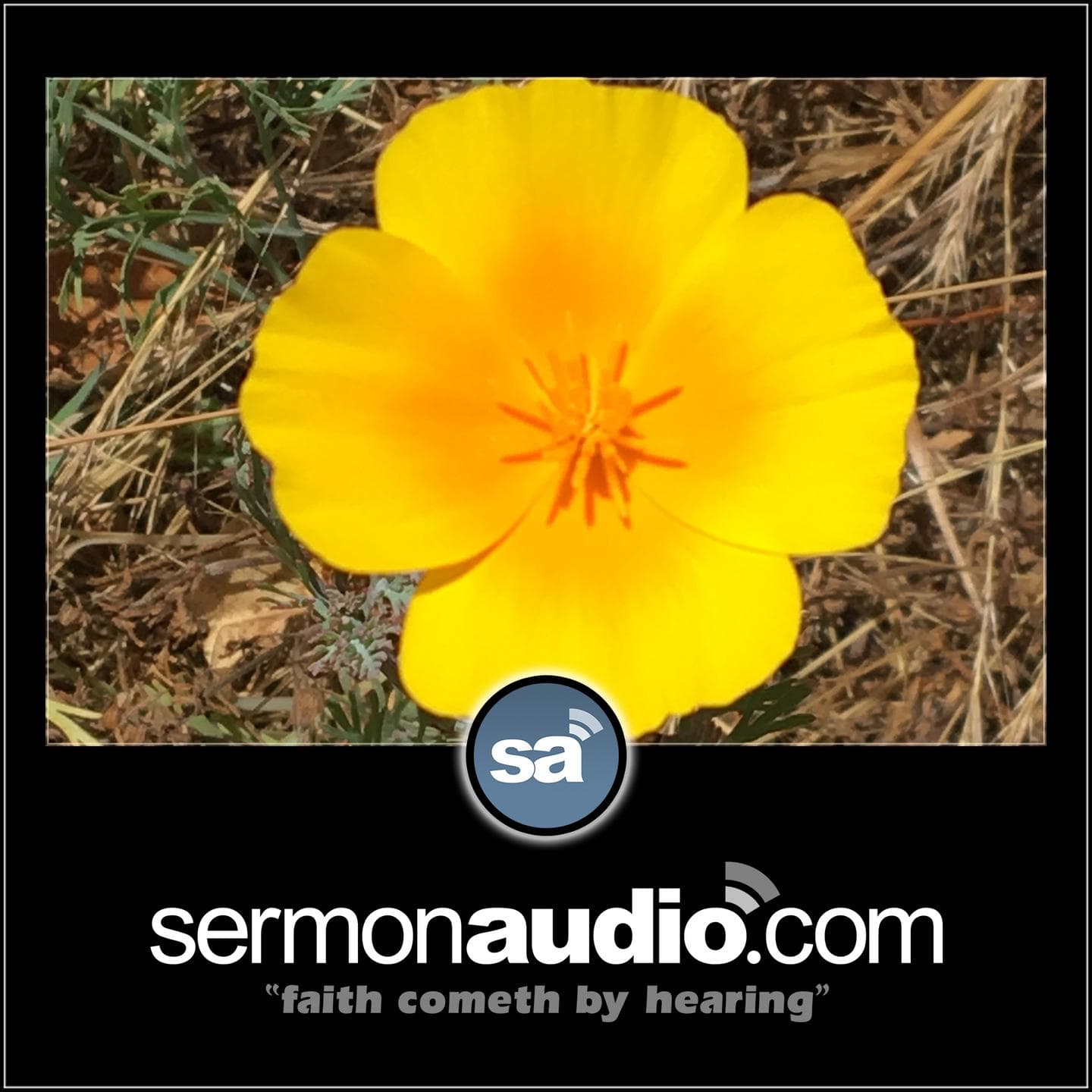 San Mateo Grace Church cover