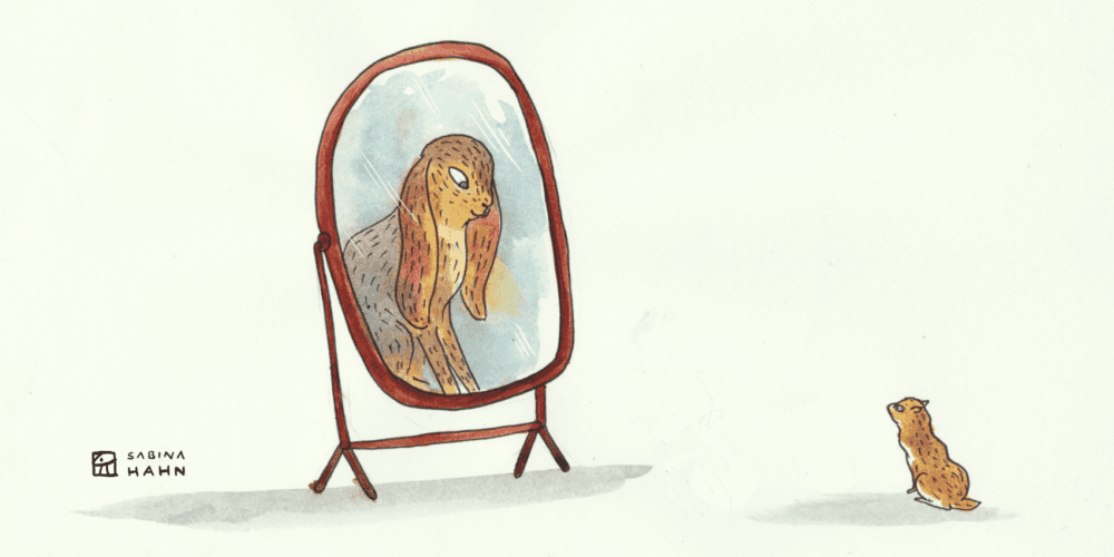 'Rabbit's Wish' | Circle Round 70 - Circle Round cover