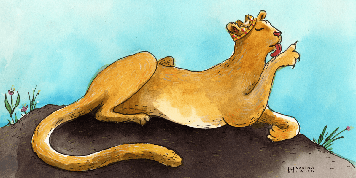 Queen of the Forest feat. Mari Heller & Jorma Taccone  - Circle Round cover