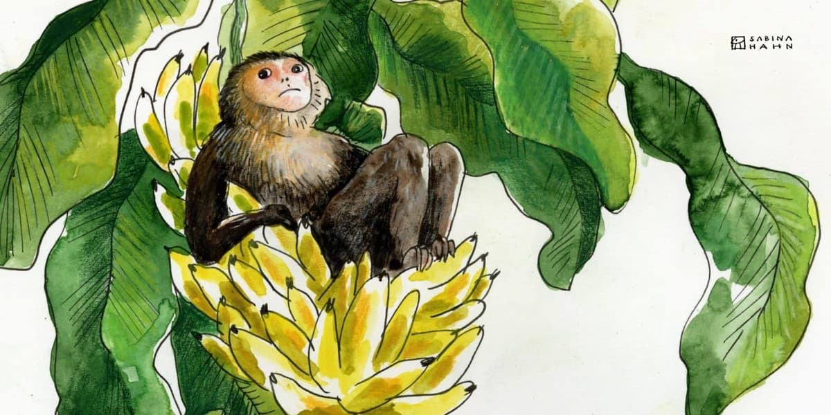 The Banana Split | Ep. 183 - Circle Round cover