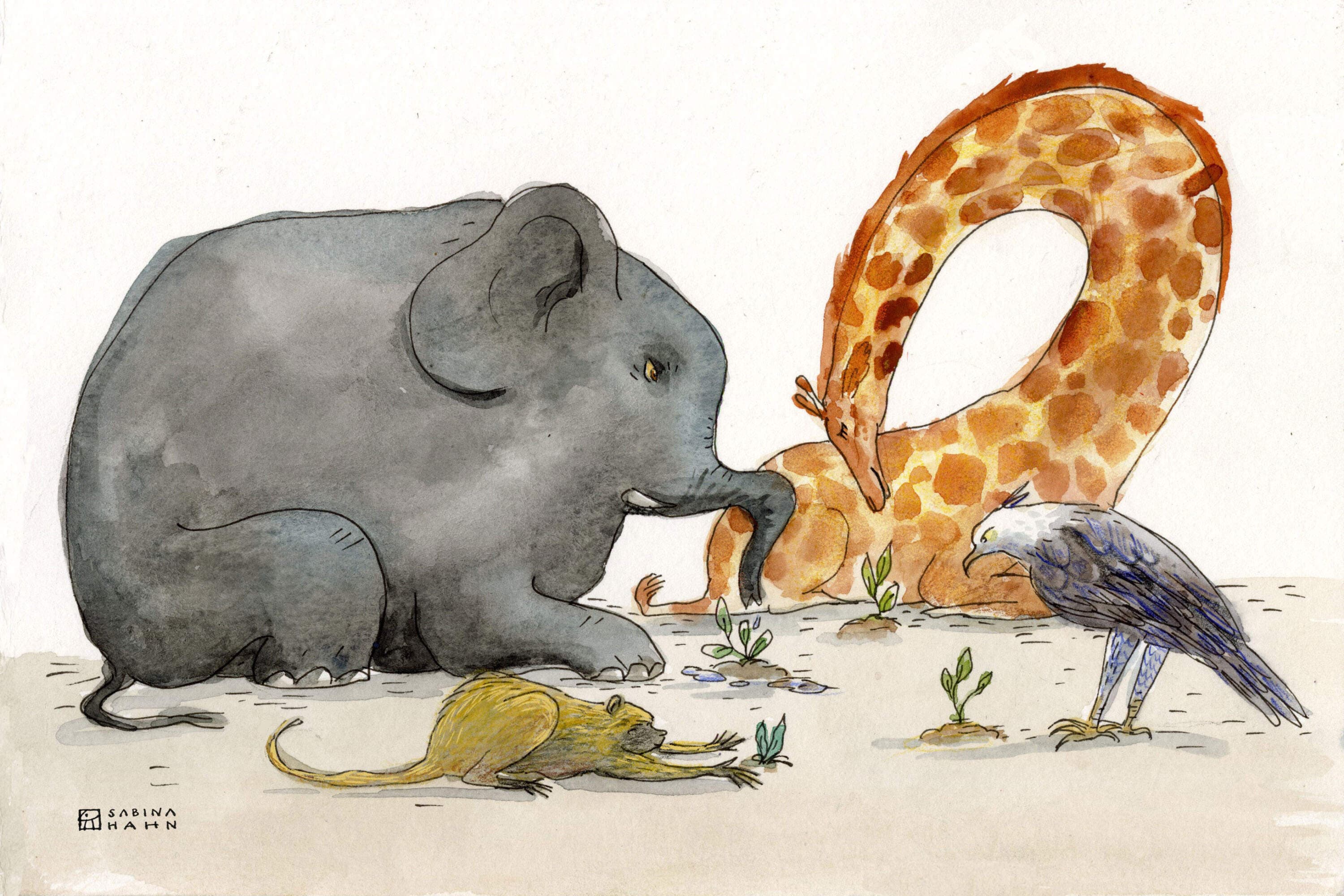 The Upside-Down Tree | Ep. 228 - Circle Round cover