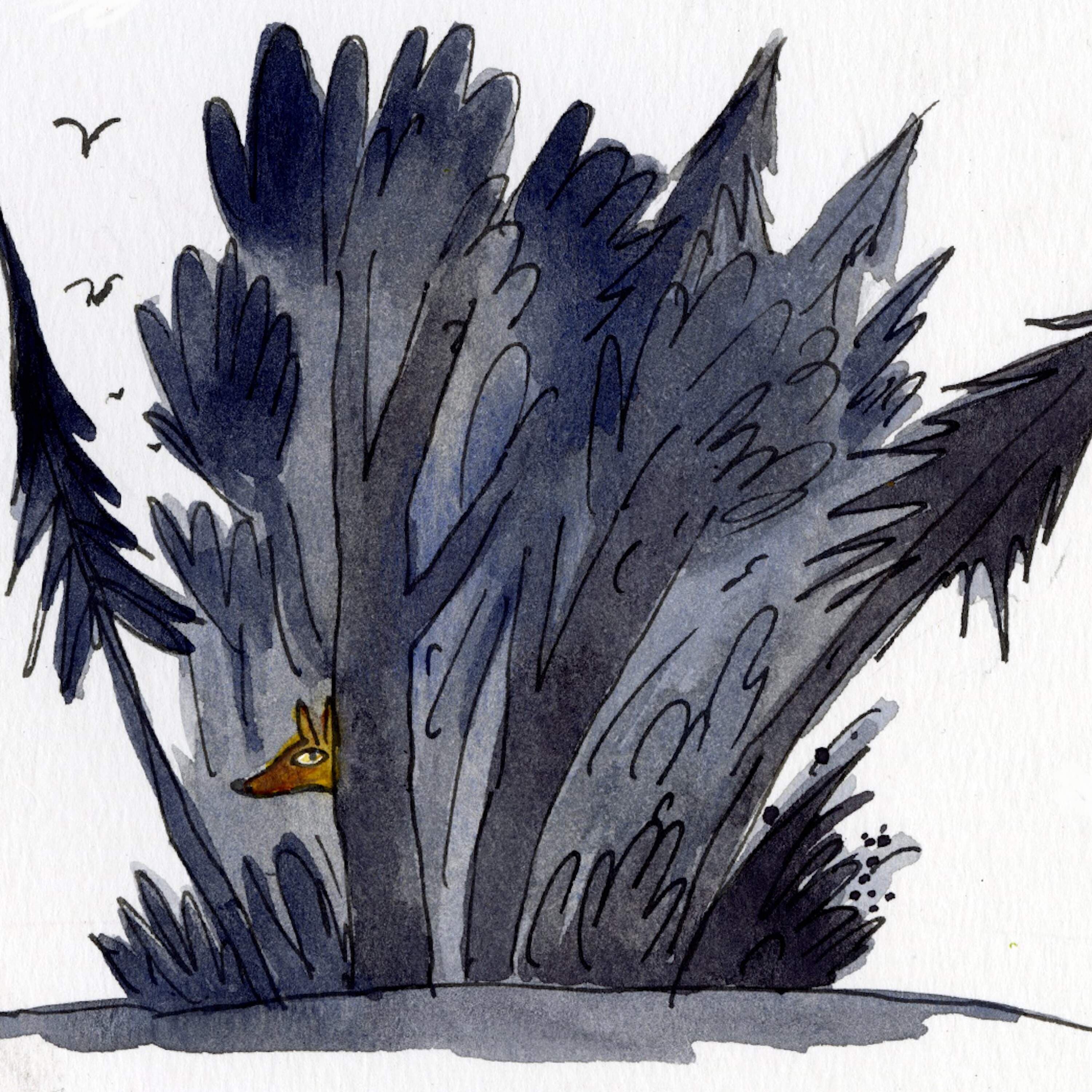 In the Wolf’s Mouth - Circle Round cover